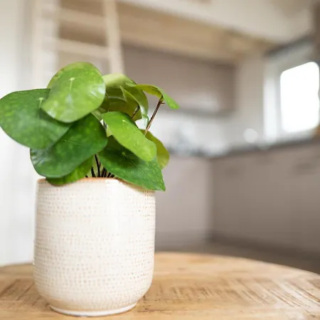 Casa vacanze Bis 4 Personen Ohne Hund