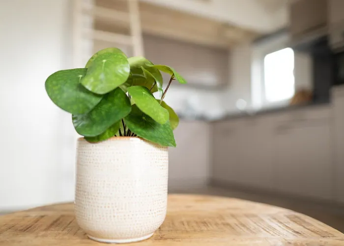 Casa vacanze Bis 4 Personen Ohne Hund